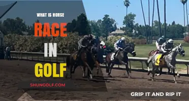 Golf's Horse Race: Understanding the Competitive Format