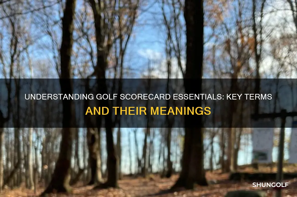 what is in for on golf score card