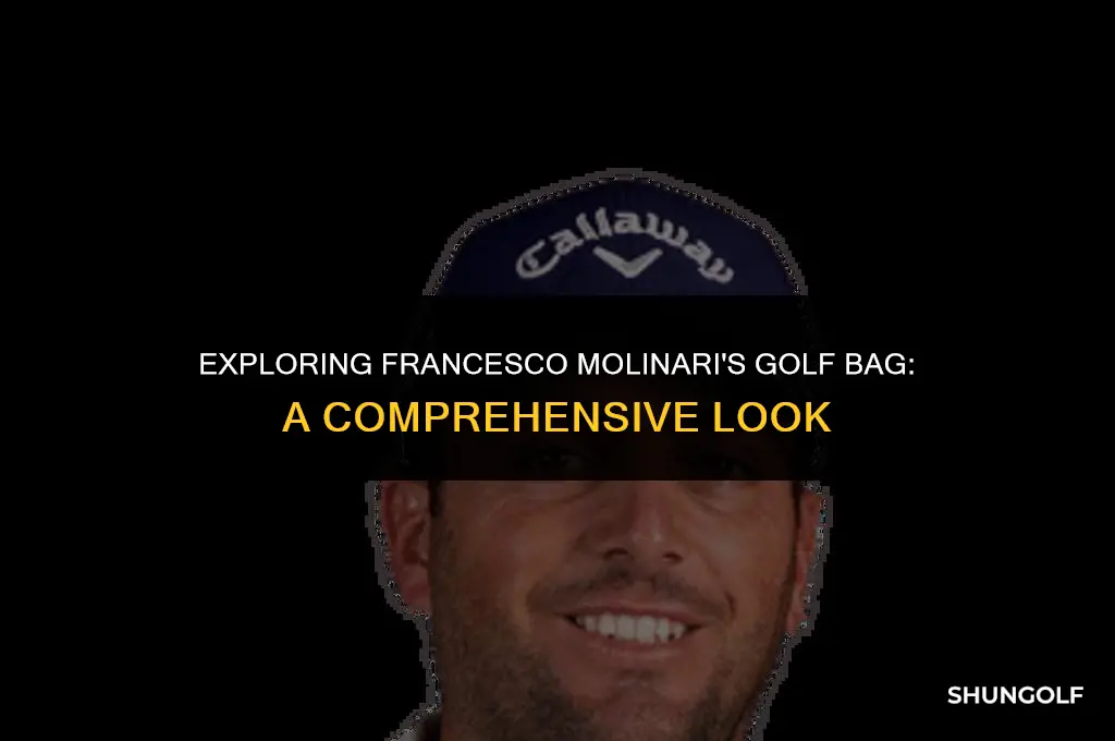 what is in francesco molinari golf bag