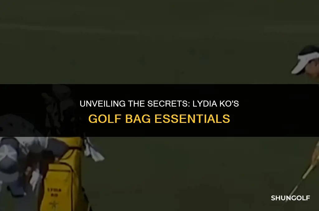 what is in lydia ko golf bag