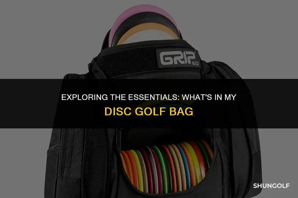 what is in my bag disc golf