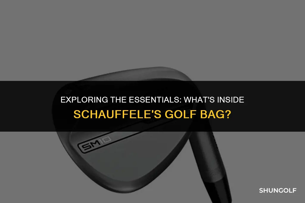 what is in schafulees golf bag
