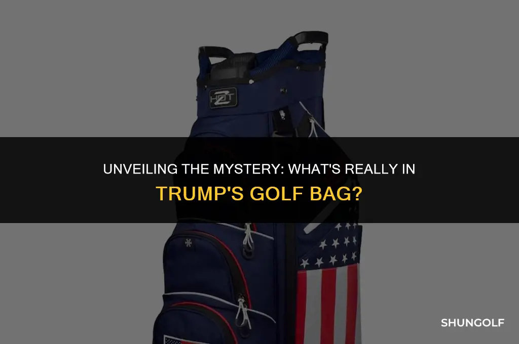 what is in trump
