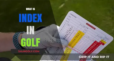 Golf Index: Understanding the Scoring System