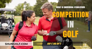 Understanding Individual Stableford Competition in Golf: Rules and Scoring