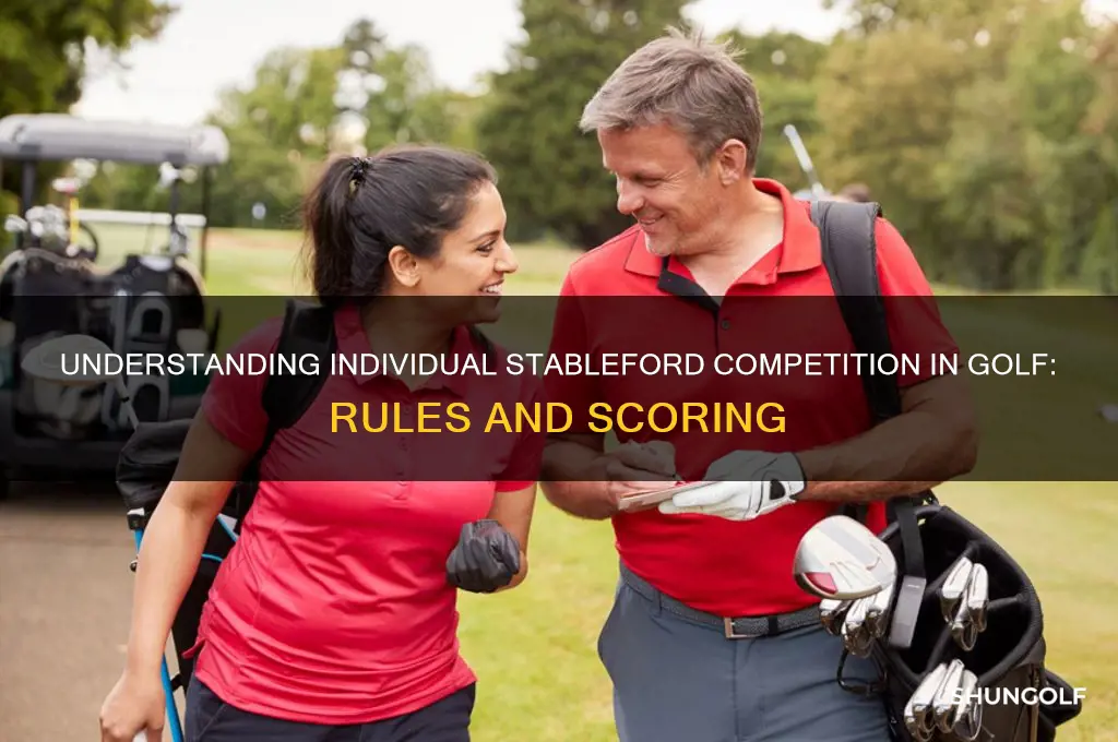 what is individual stableford competition in golf