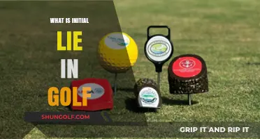 Golf's Initial Lie: Understanding the Fundamentals
