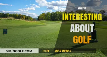 Golf: A Sport of Precision and Patience