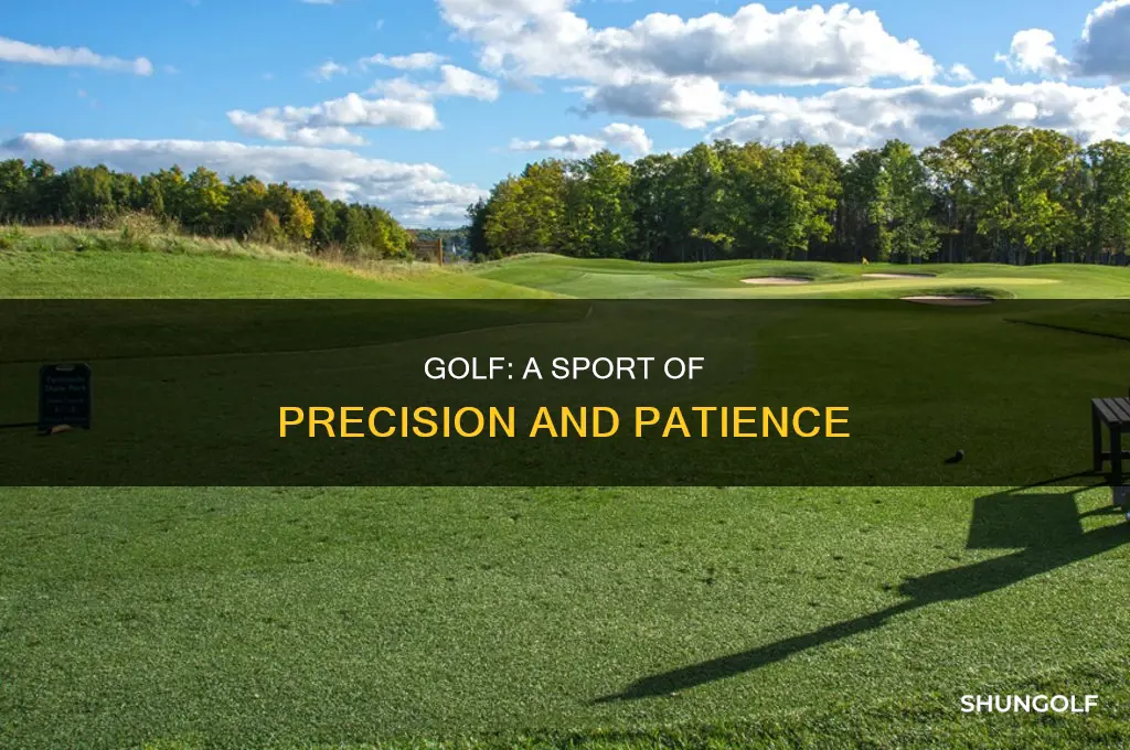 what is interesting about golf