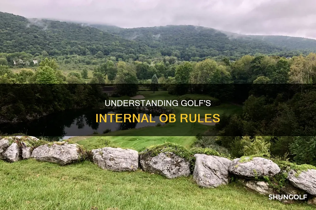 what is internal ob in golf