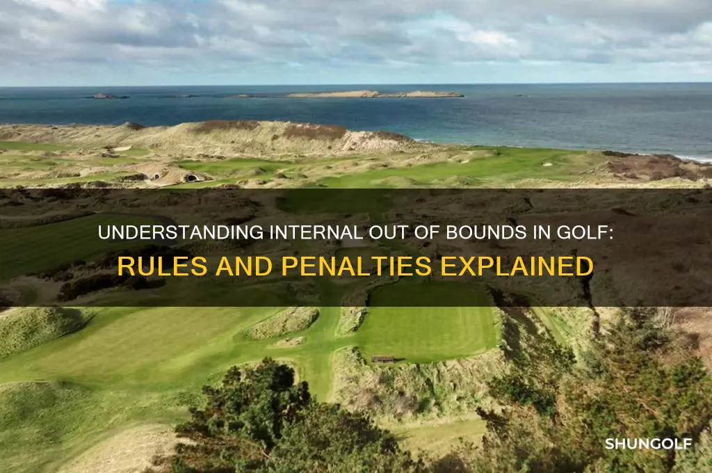 what is internal out of bounds in golf
