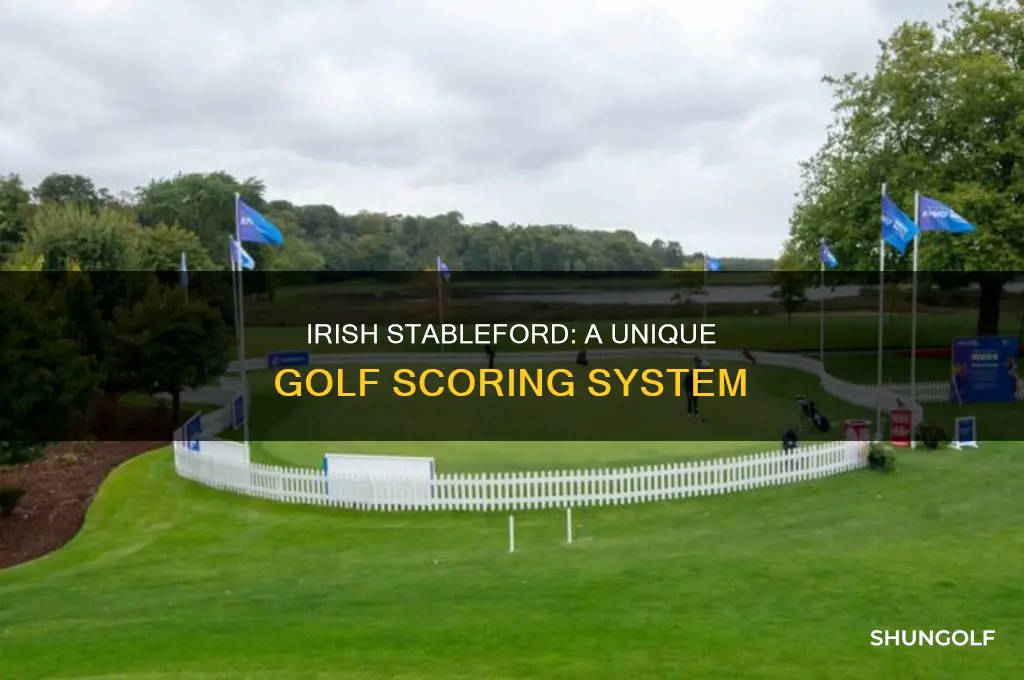 what is irish stableford in golf