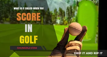 Understanding Golf Scoring Terms: What's It Called When You Score?