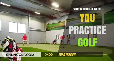 Mastering Your Swing: Exploring the Golf Practice Facility's Name