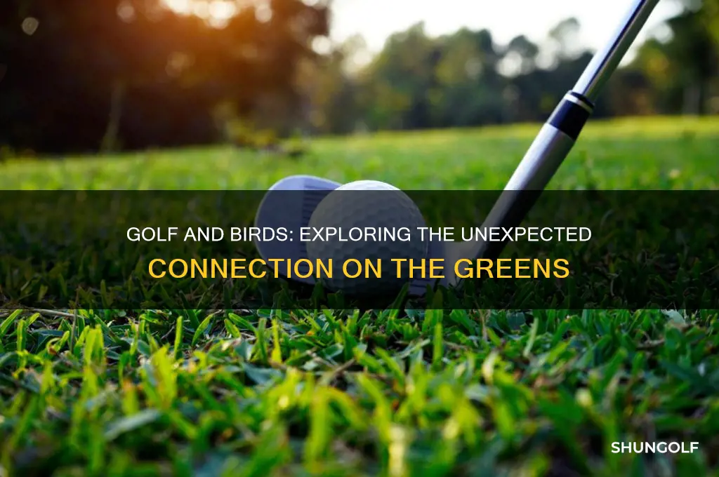 what is it with golf and birds