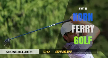 Understanding Korn Ferry Golf: The Gateway to PGA Tour Success