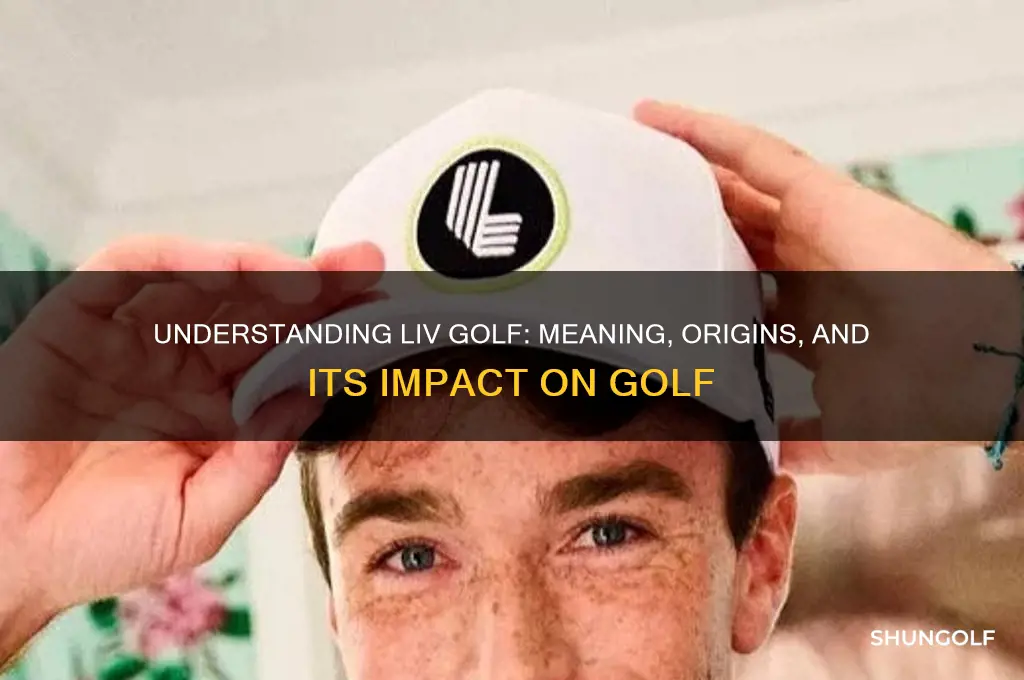 what is l i v golf stand for