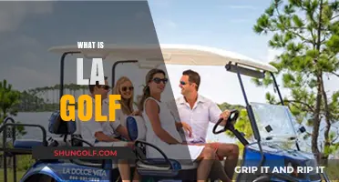The LA Golf Craze: What's All the Hype About?