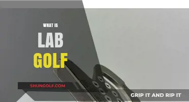 Exploring Lab Golf: A Revolutionary Approach to Perfecting Your Game