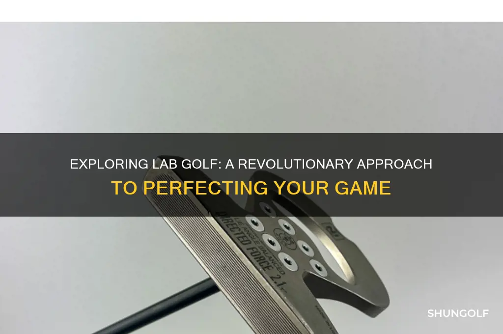 what is lab golf