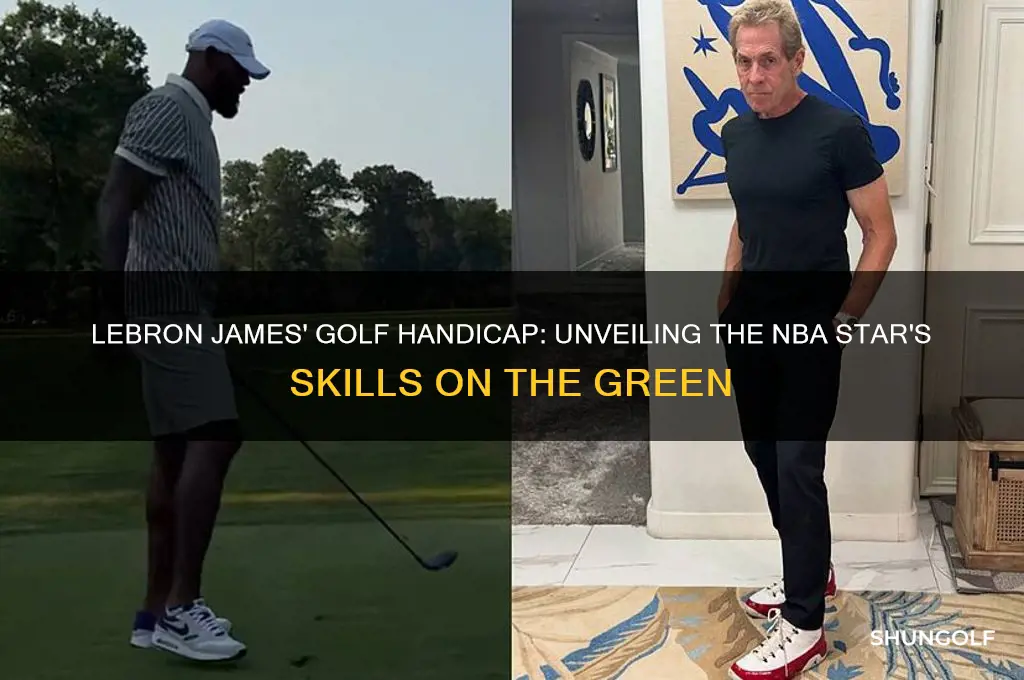 what is lebron james golf hadicapp
