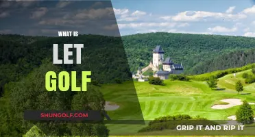 Understanding LET Golf: A Beginner's Guide to the Ladies European Tour