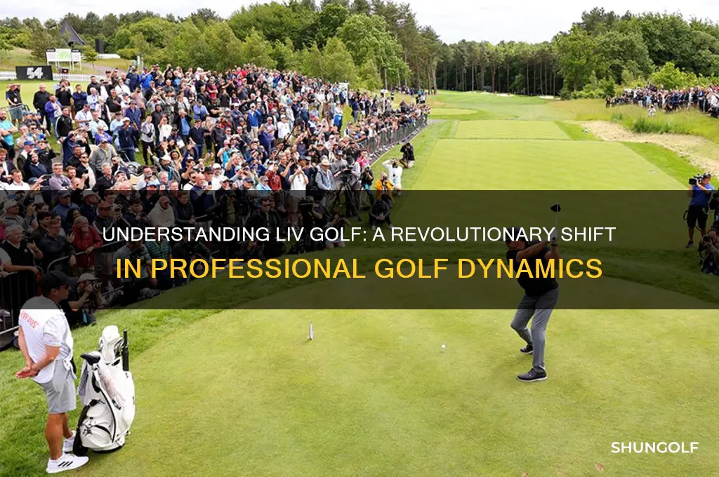 what is lif golf