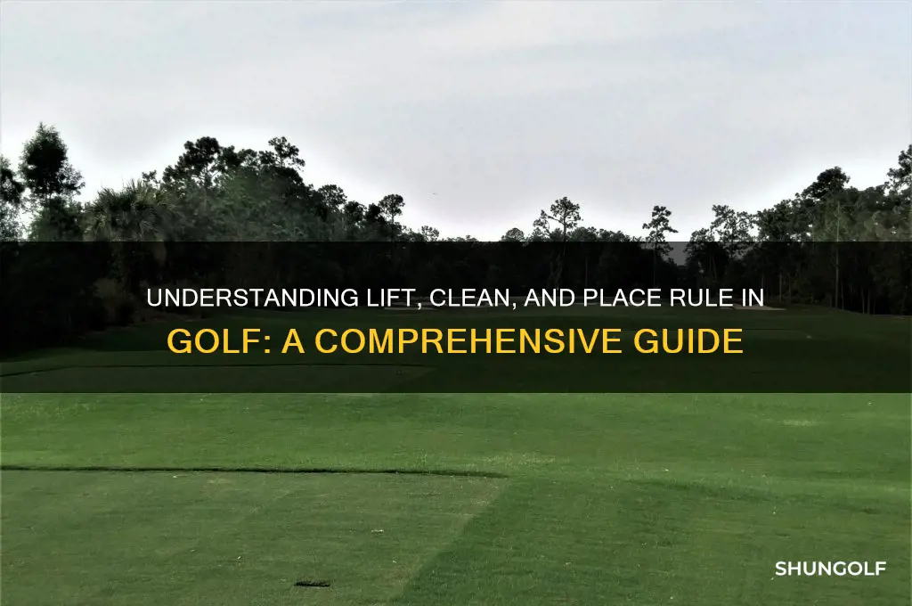 what is lift clean and place in golf