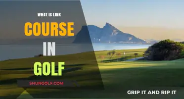 Understanding Link Course Golf: Origins, Design, and Playing Strategies