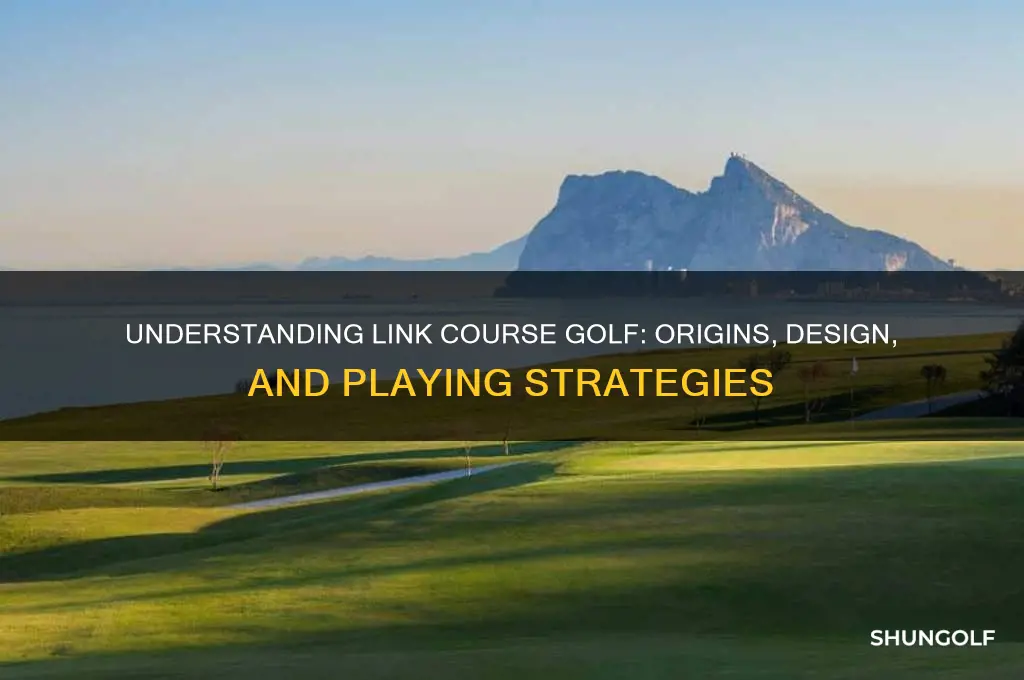 what is link course in golf
