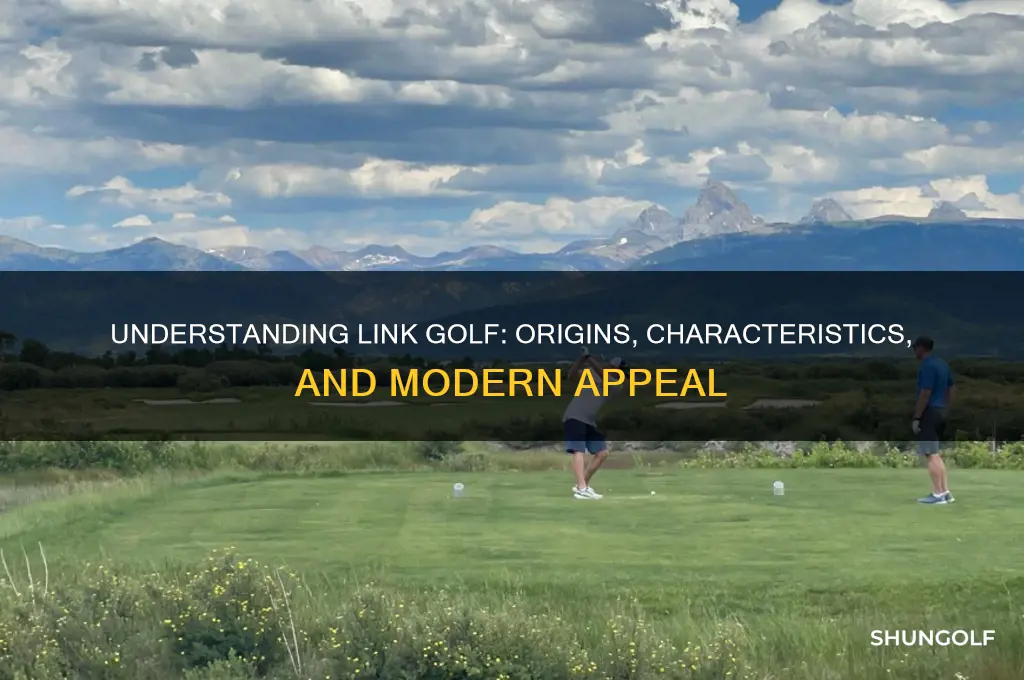 what is link golf