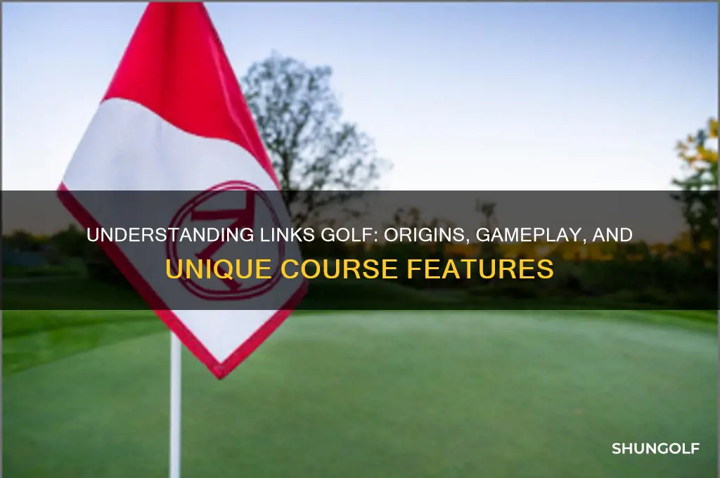 what is links golf game