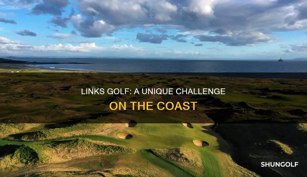 what is links golf