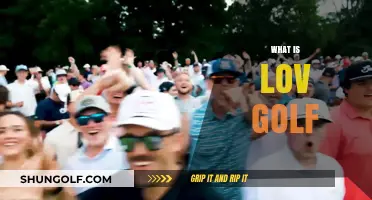 Understanding the Unique Appeal and Rules of Lov Golf