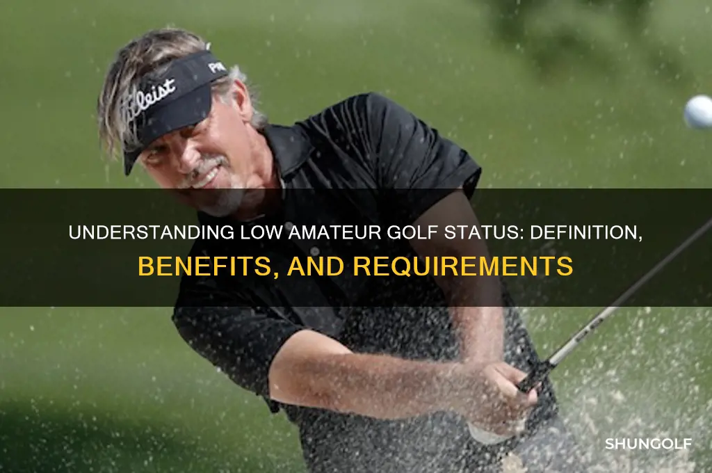 what is low amateur in golf