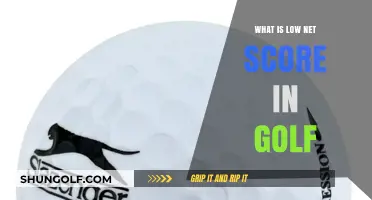 Understanding Low Net Score in Golf: A Beginner's Guide