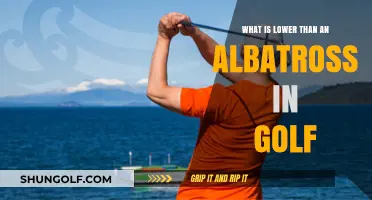 Golf's Rare Feats: What Scores Lower Than an Albatross?
