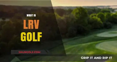 Understanding LRV Golf: A Beginner's Guide to the Game
