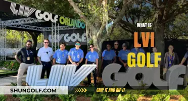 Understanding LVI Golf: A Comprehensive Guide to the Sport's Latest Trend