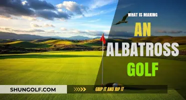 Mastering the Albatross: Secrets to Achieving Golf's Rarest Feat