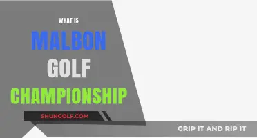 Exploring the Malbon Golf Championship: History, Format, and Highlights