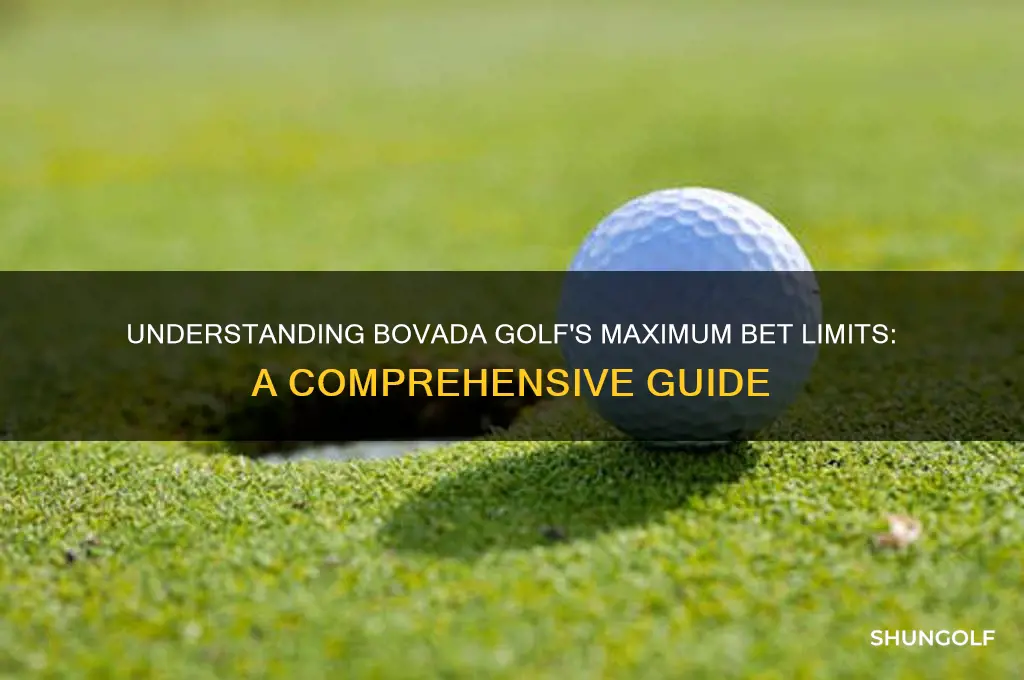 what is max bet on bovada golf