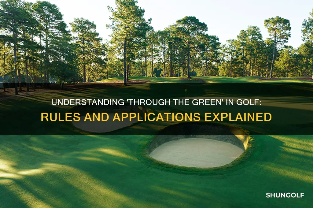 what is meant by through the green in golf