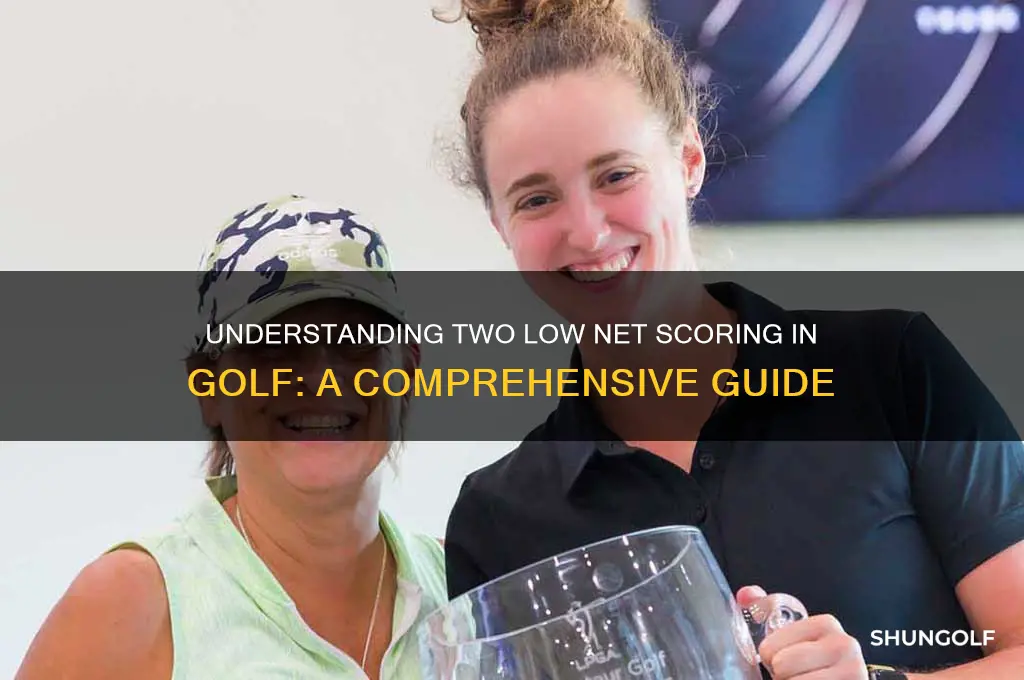 what is meant by two low net in golf scoring