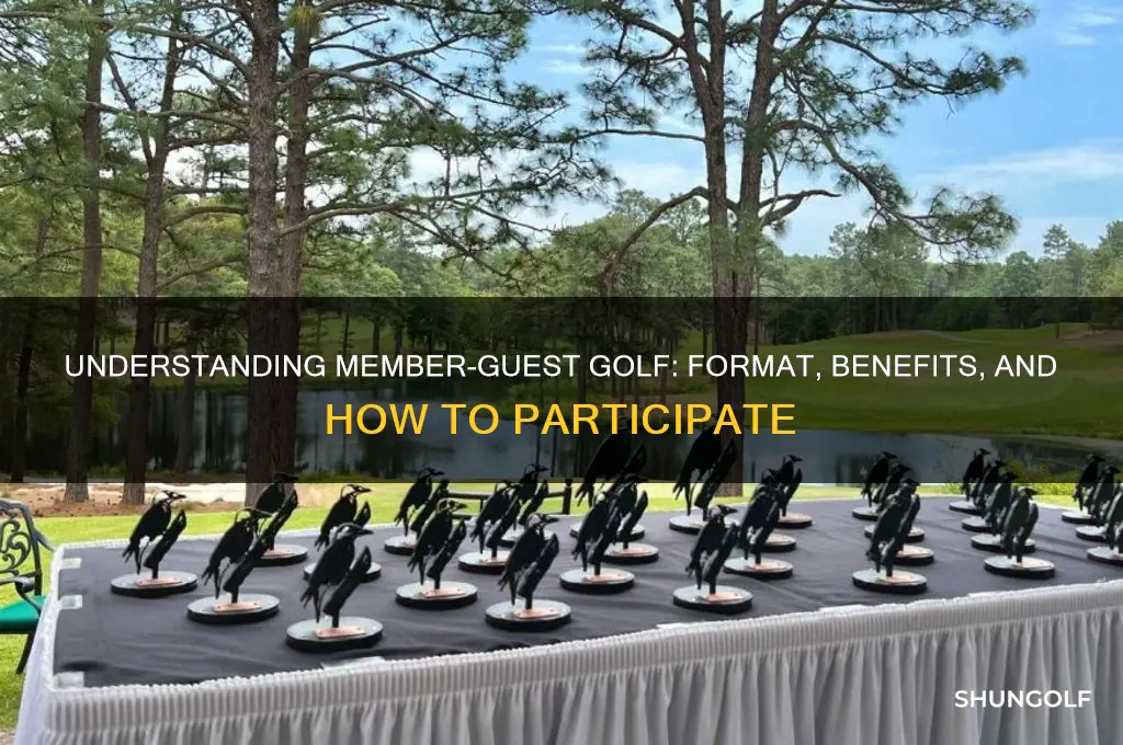 what is member guest golf