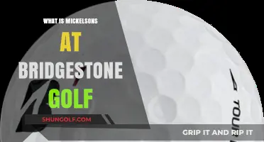 Understanding Mickelson's Legacy at Bridgestone Golf: A Comprehensive Overview