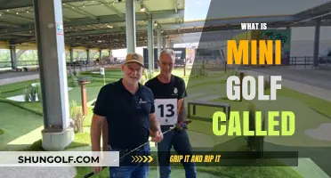 What is Mini Golf Called? Unraveling the Names of Putt-Putt Fun