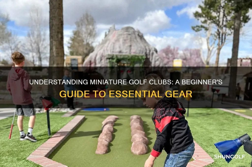 what is miniature golf clubs