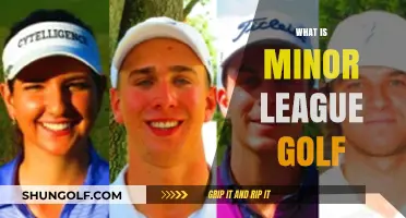 Exploring Minor League Golf: A Beginner's Guide to the Sport