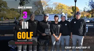 Understanding Golf's Minus 3: A Beginner's Guide to Scoring Below Par